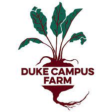 Employer Provided Image-EXECUTIVE VICE PRESIDENT'S OFFICE (DDCU) Biweekly
